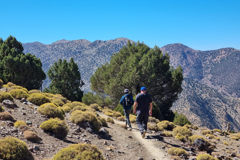 Da Marrakech: Escursione di un giorno sulla cima del Tedli, nella catena montuosa dell&#039;Atlante