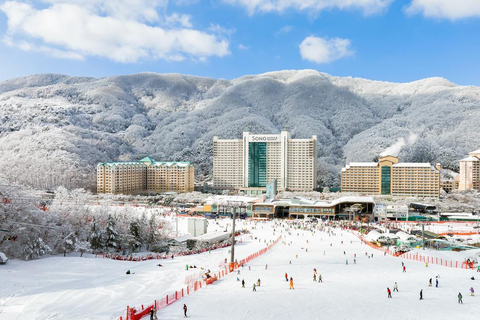 Vivaldi Park_ Ski &amp; Lift Pass (7 ore) con Seoul Shuttle[830am Myeongdong] Attrezzatura da sci e skipass (7 ore)