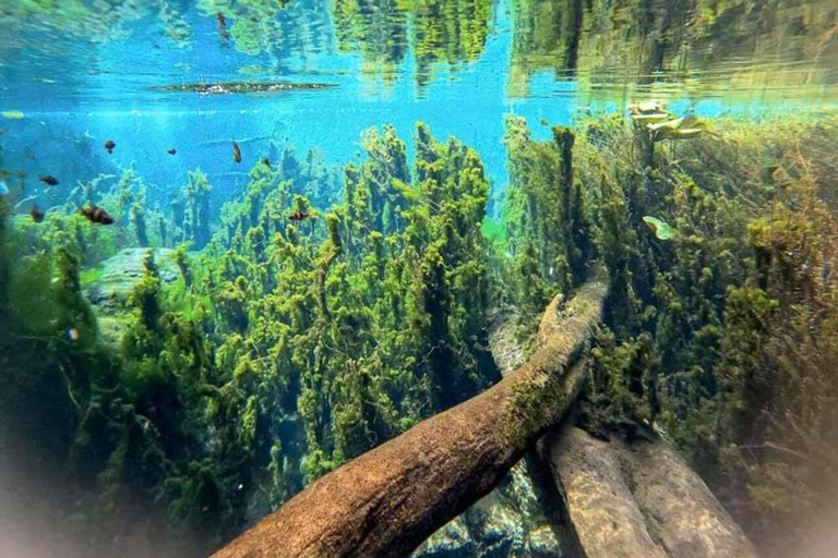 Krabi: Mirror Lake Golden Hour Kayak & Ao Nang Night Market Option 4: Private Sunset Tour