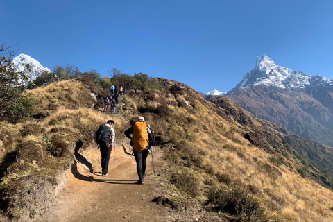 Mardi Himal Base Camp Trek 7 Days