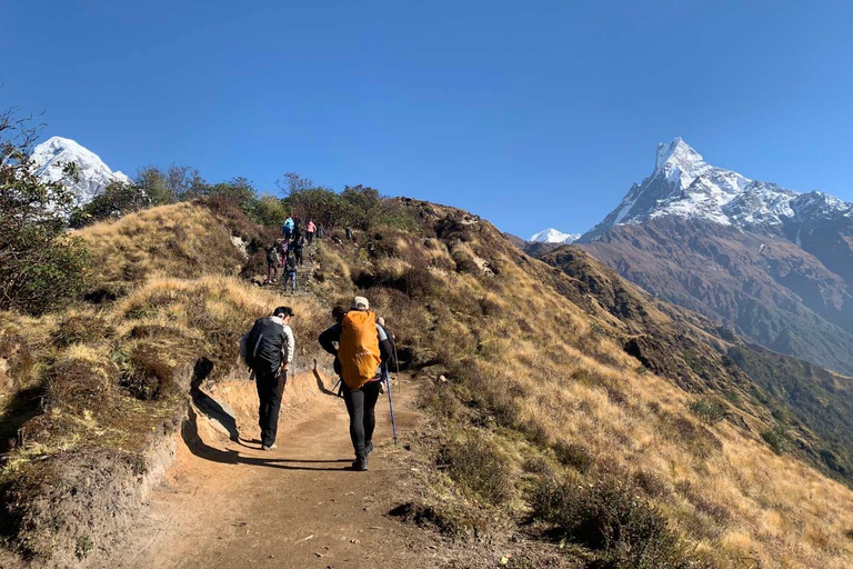 Mardi Himal Base Camp Trek 7 Days