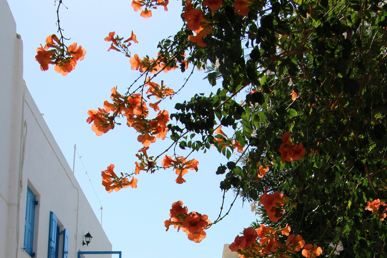 Antiparos Half-Day Tour: Cave, Beach & Old Town