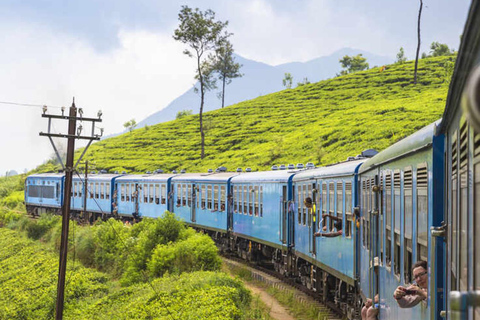 Kandy: Train Tickets to Nuwara Eliya on 2nd or 1st Class