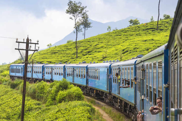 Kandy: Train Tickets to Nuwara Eliya on 2nd or 1st Class