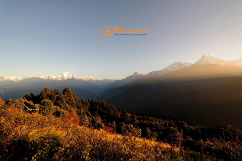 Pokhara: 4-dagars Ghorepani Poonhill Short Trek