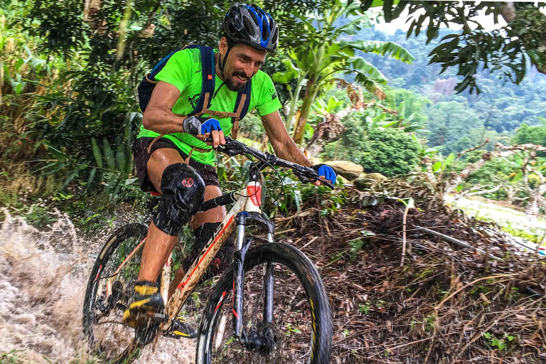 Chiang Mai: 20km Downhill Mountain Biking Challenge Suthep M