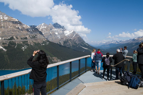 Tagestour zum Peyto Lake, Lake Louise, Johnston Canyon, mehr.Abfahrt von Canmore