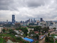 Visite de la ville d'Addis-Abeba - Hizvo