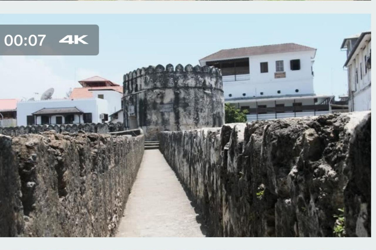 Zanzibar: Jozani forest, stone town tour & Prison island Private tour With Hotel pick up and drop off included