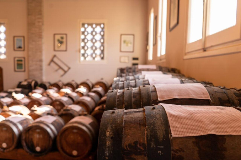 Reggio Emilia: Parmigiano & Balsamic Vinegar Tasting Tour
