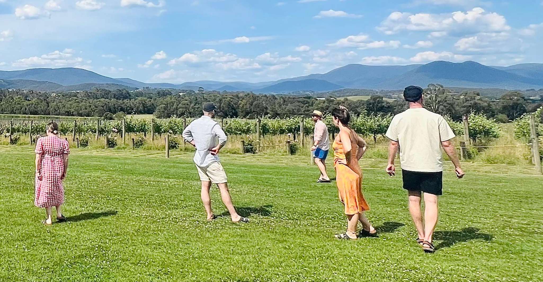 Melbourne: Yarra Valley Wine, Choc, Farm Fresh, Gin Tour photo 18
