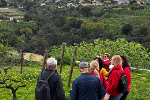 Nice : Wine Tasting in backcountry in Defender