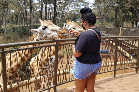 Von Nairobi aus: Elefantenwaisenhaus und Giraffenzentrum Tour