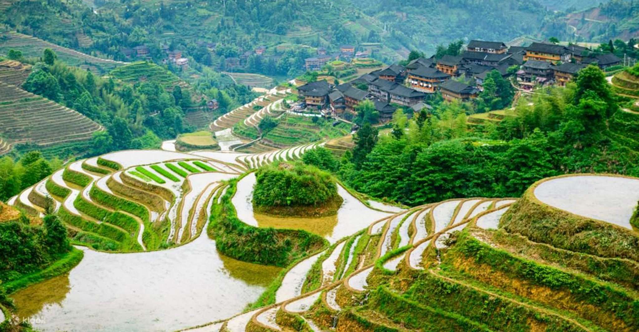 Guilin, Longji Rice Terraces& Long Hair Village Private Tour - Housity