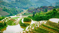 Guilin, Longji Rice Terraces& Long Hair Village Private Tour - Housity
