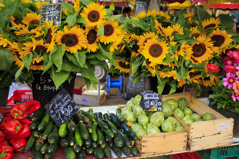 From Nice: Antibes, St-Paul-de-Vence, & Wine Tasting Tour From Nice: Antibes, St-Paul-de-Vence, & Wine Tasting Tour