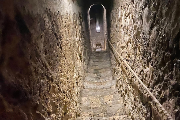 Bucharest: Dracula's Castle, Brasov & Peles Castle Day Trip