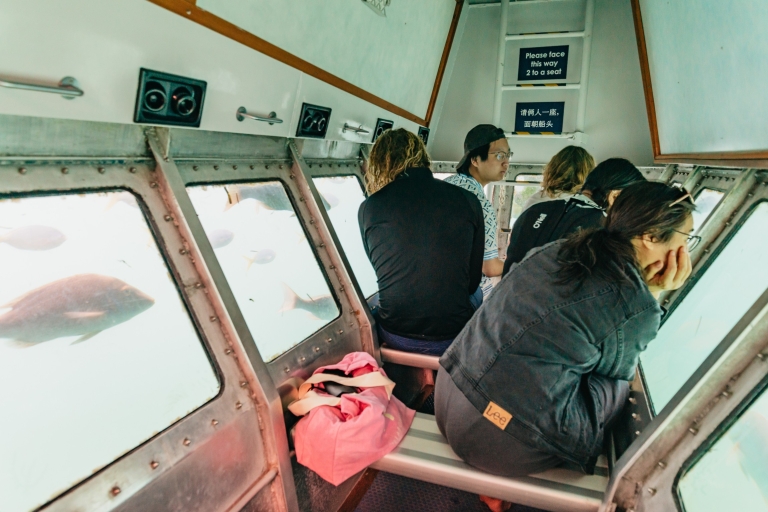 Cairns: excursion d'une journée avec tuba en bateau à fond de verreVisite semi-sous-marine avec déjeuner