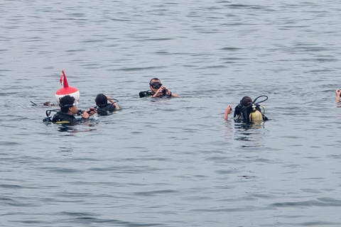 Mombasa: Scuba Diving Experience with Hotel Transfer