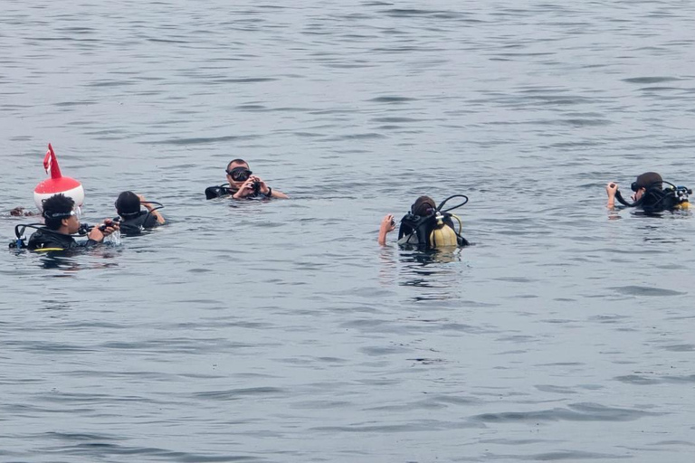 Mombasa: Scuba Diving Experience with Hotel Transfer