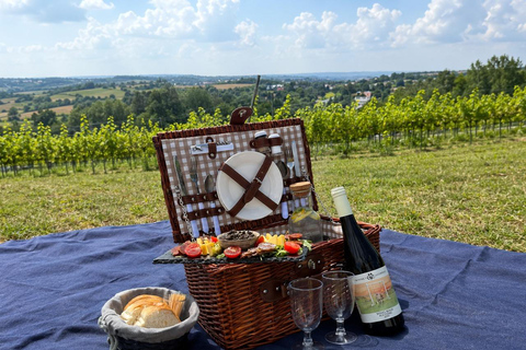 Near Wieliczka: Vineyard Picnic with Basket & Wine for Two