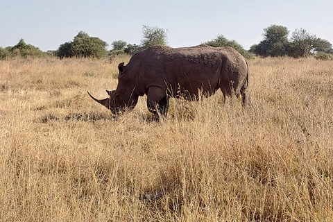 Nairobi: 3-Day Amboseli and Tsavo East Safari with Meals