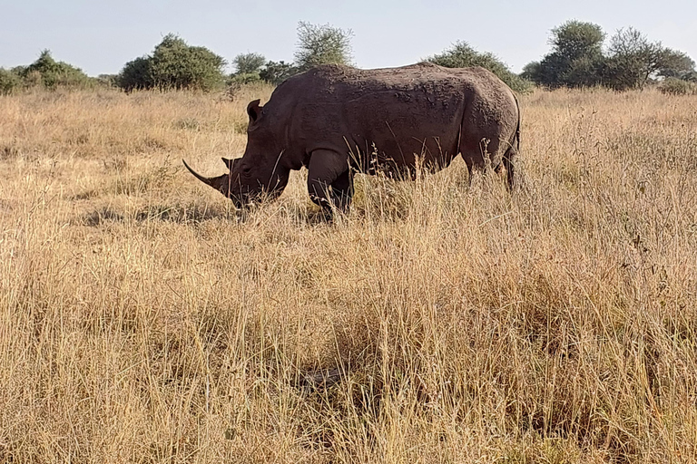 Nairobi: 3-Day Amboseli and Tsavo East Safari with Meals