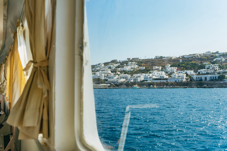 Vanuit Mykonos: rondleiding door Delos, met tickets met voorrangstoegangTour in het Spaans