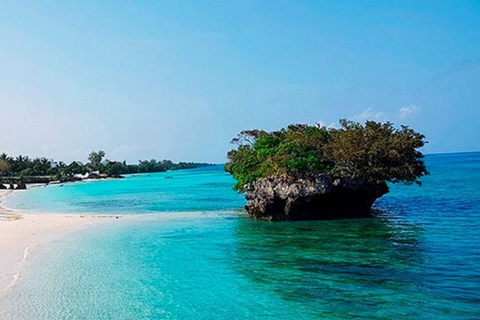 Pemba-Insel: Schnorcheln auf der Insel Misali &amp; Tour nach Chake Chake