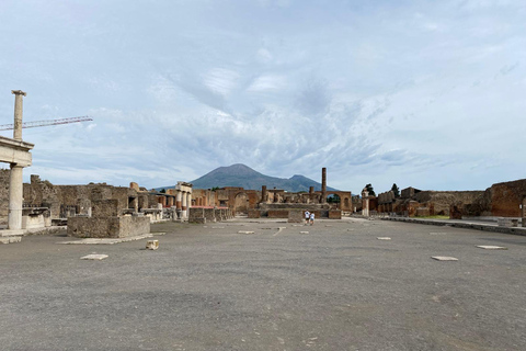 Pompeii: Guided Tour with a Local Expert Guide