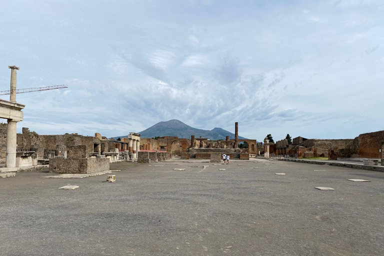 Pompeii: Guided Tour with a Local Expert Guide