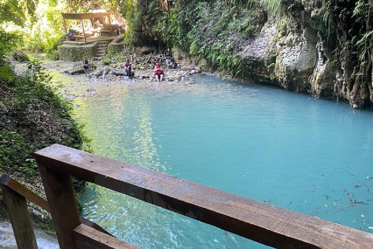 Puerto Plata: Damajagua 7 Waterfalls & MonkeyHome Tour