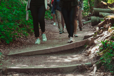 Zadar : Visite guidée des lacs de Plitvice avec billets