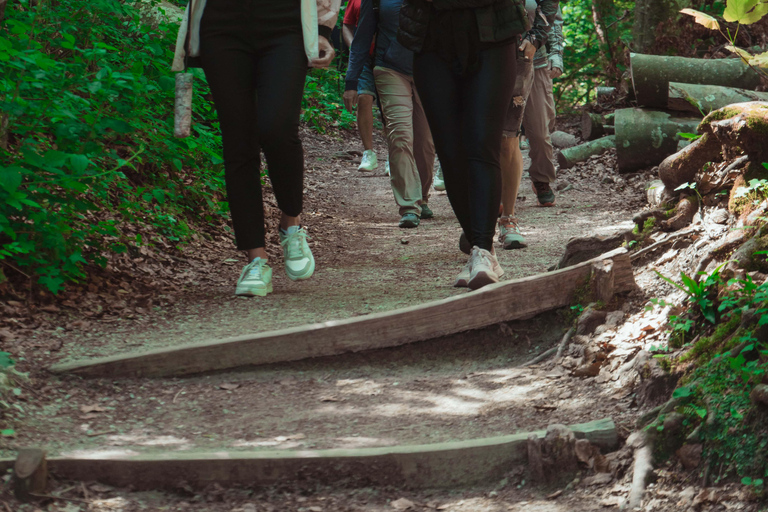 Zadar : Visite guidée des lacs de Plitvice avec billets
