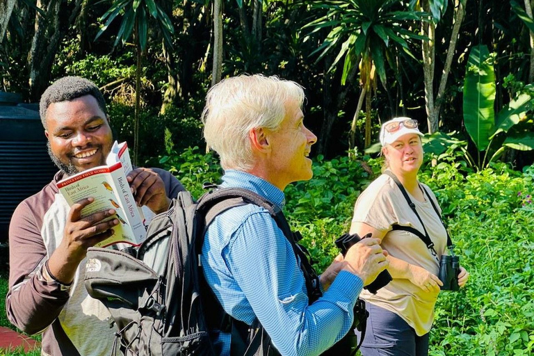 4-Day Rwanda golden monkey and Culture Safari 4-Day Rwanda golden monkey and Culture Safaris