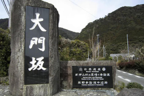 From Osaka/Nagoya: 2-Day Wakayama & Kii Peninsula Trip