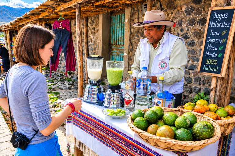 Arequipa: Colca Valley and Flight of the Condor – All-Inclusive Full Day Arequipa: Colca Valley and Flight of the Condor – Full-Day All-Inclusive