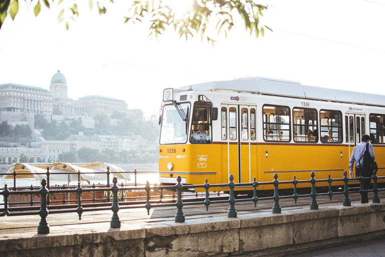 Budapest: Dohany Synagogue Ticket with App-Based City Walk