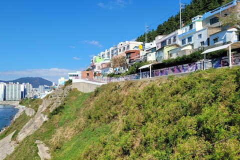 Busan Highlights Day Tour from Seoul by KTX - Capsule Ride