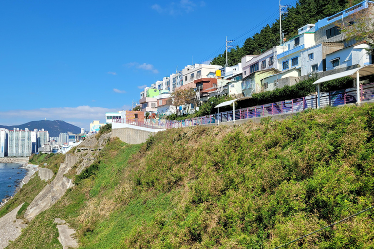 Busan Highlights Day Tour from Seoul by KTX - Capsule Ride