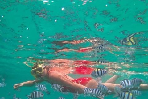 Sansibar: Blaue Lagune, Seesterne, Paje Strand und Maalum HöhleSansibar: Blaue Lagune, Seesterne, Jambiani und Maalum-Höhle