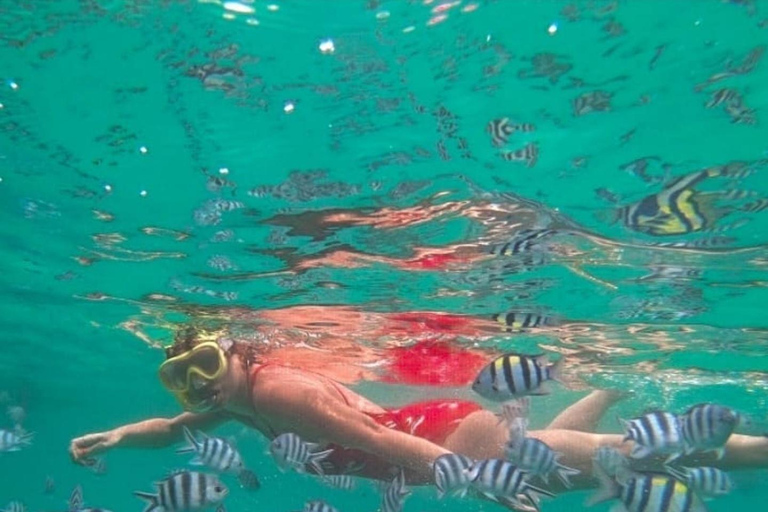 Sansibar: Blaue Lagune, Seesterne, Paje Strand und Maalum HöhleSansibar: Blaue Lagune, Seesterne, Jambiani und Maalum-Höhle