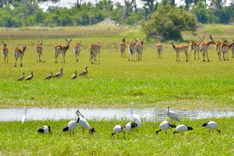 Livingstone: Mosi-oa-Tunya Full Day