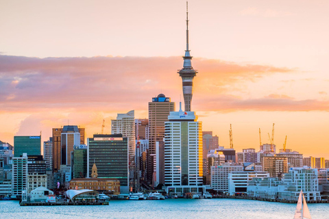 Best of Auckland: Private Walking Tour with a Local Private City Walking Tour - 5Hr