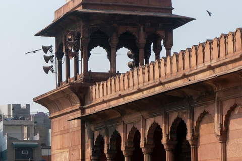 Delhi: Visita guiada privada de un día a la Vieja y la Nueva DelhiVisita de medio día a la ciudad de Nueva Delhi con coche con conductor y guía turístico