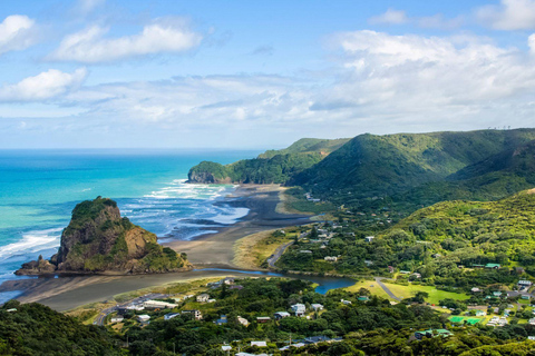 Lo Mejor de Auckland: Tour a pie privado con un lugareñoTour a pie privado por la ciudad - 3Hr