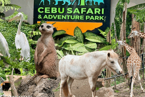 Cebu: Wildlife & Adventure Safari Experience