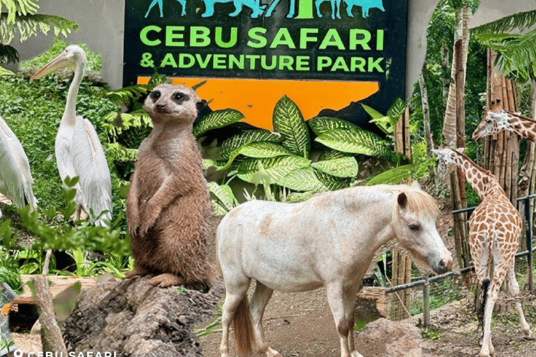 Cebu: Wildlife & Adventure Safari Experience
