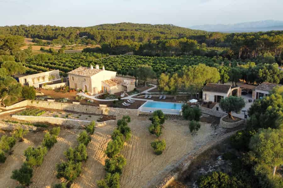 Treurer: Olivenöl-Nacht. Gastronomisches Erlebnis. Foto: GetYourGuide