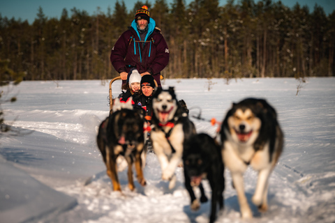 Rovaniemi: Voel de snelheid van husky&#039;s